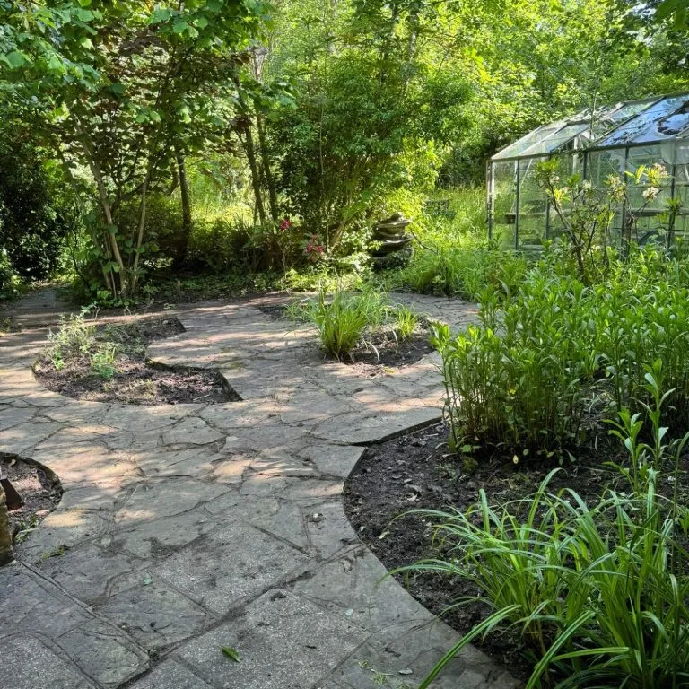 Cleared garden path with borders and a greenhouse
