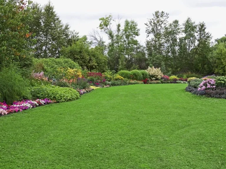 Flower borders alongside a green lawn