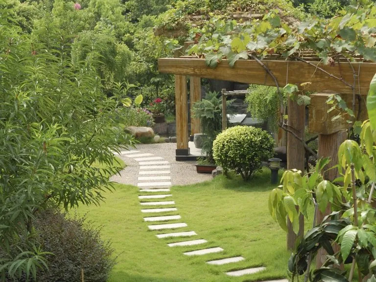 A garden pergola and stepping-stone path