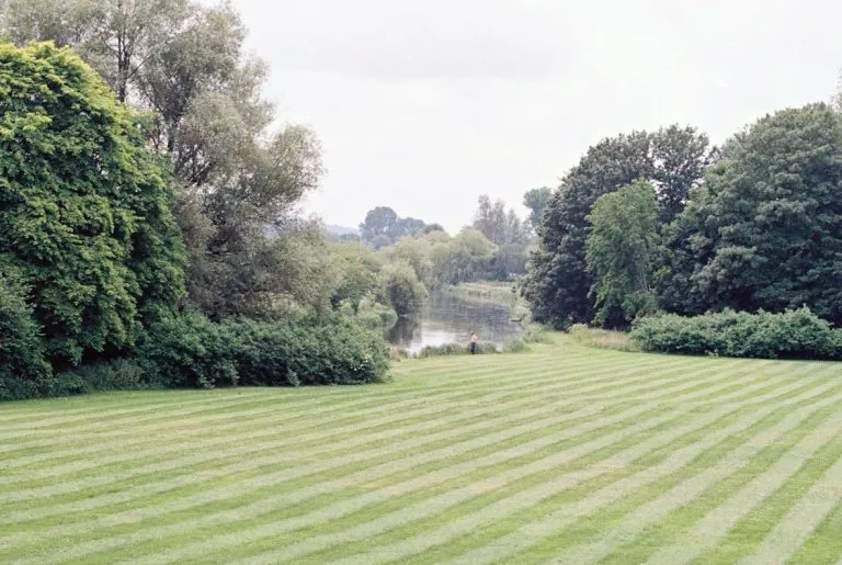 A striped lawn with mature trees